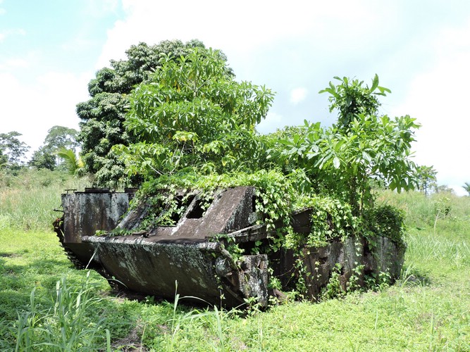 DSCN5575.JPG