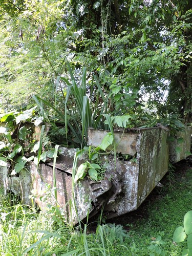 DSCN5588.JPG
