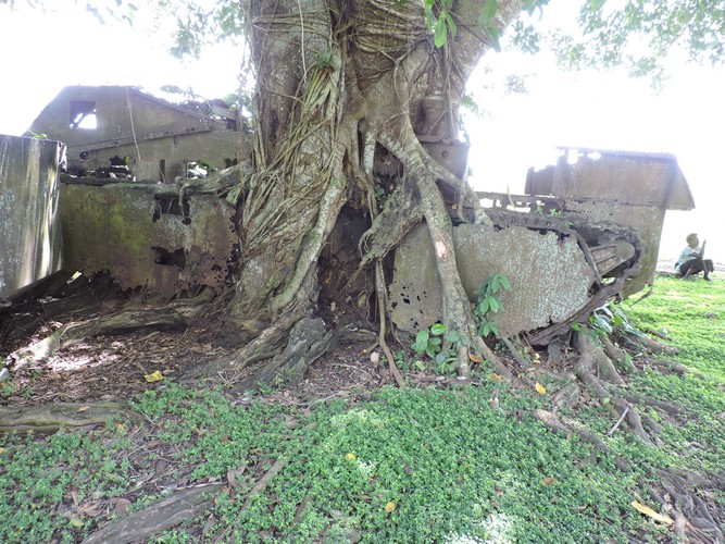 DSCN5592.JPG