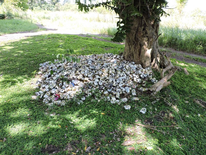 DSCN5593.JPG
