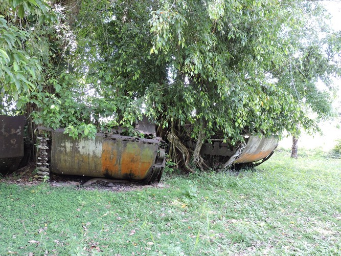 DSCN5594.JPG
