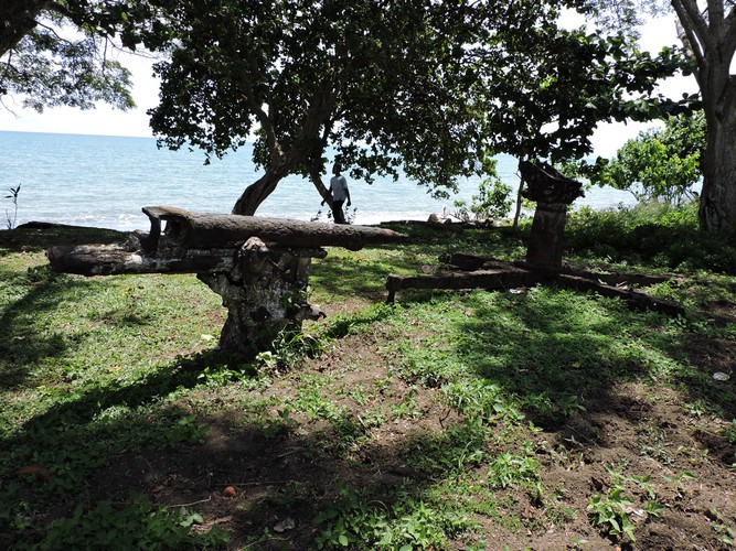 DSCN5596.JPG