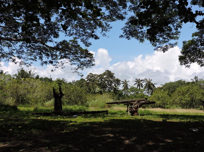 DSCN5598.JPG