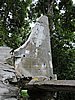 DSCN5514.JPG