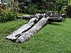 DSCN5516.JPG