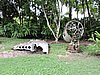 DSCN5521.JPG