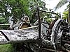 DSCN5524.JPG