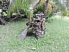 DSCN5531.JPG
