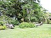 DSCN5532.JPG