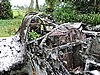 DSCN5537.JPG