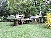 DSCN5540.JPG