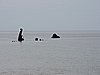 DSCN5555.JPG