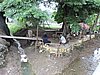 DSCN5563.JPG