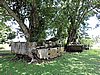 DSCN5568.JPG