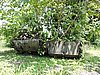 DSCN5572.JPG
