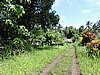 DSCN5573.JPG
