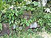 DSCN5574.JPG