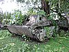 DSCN5579.JPG