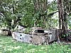 DSCN5581.JPG