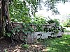 DSCN5582.JPG
