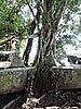 DSCN5584.JPG