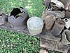 DSCN5591.JPG
