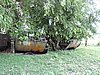 DSCN5594.JPG