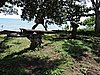 DSCN5596.JPG
