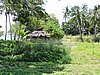 DSCN5599.JPG