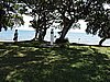 DSCN5600.JPG