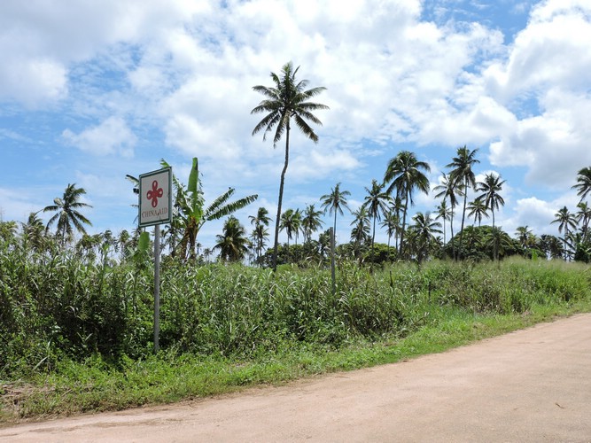 DSCN3235.JPG