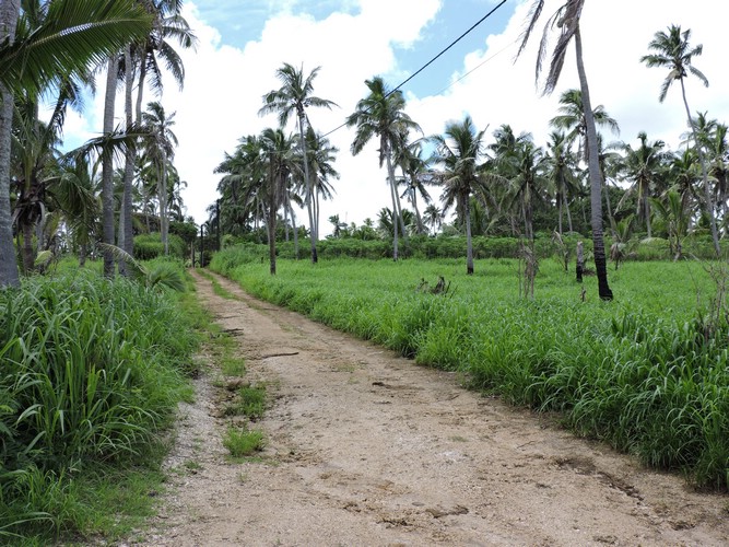 DSCN3240.JPG