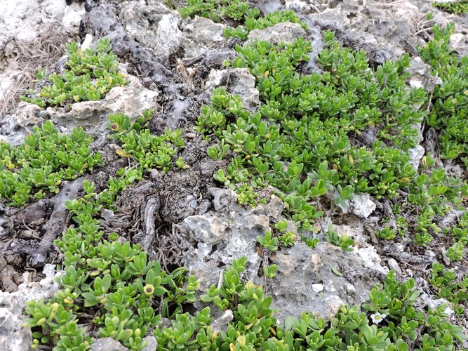 DSCN3272.JPG