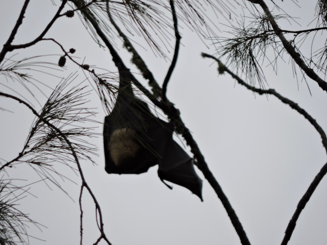 DSCN3279.JPG