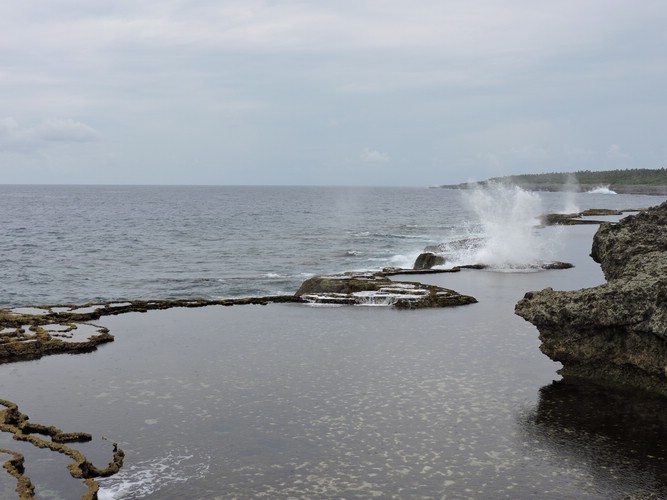 DSCN3295.JPG