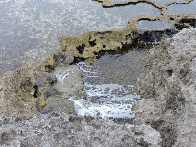 DSCN3308.JPG