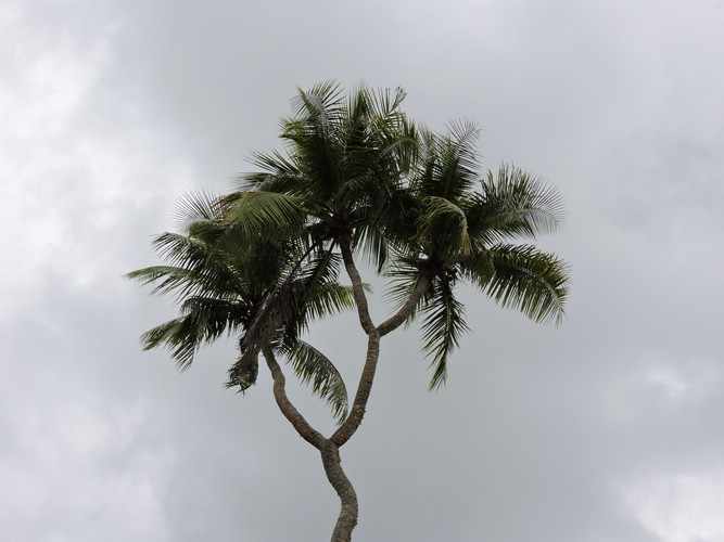 DSCN3325.JPG