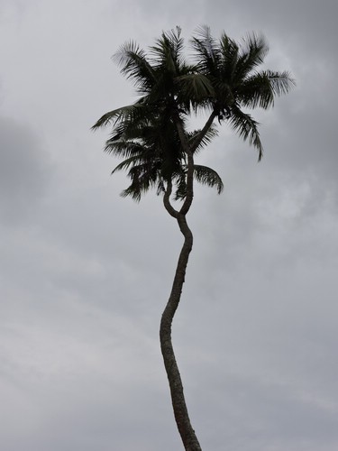 DSCN3326.JPG