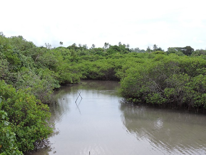 DSCN3330.JPG