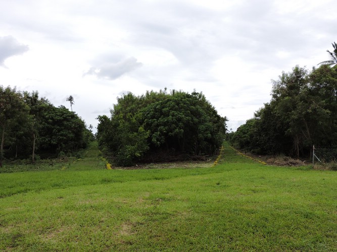 DSCN3339.JPG