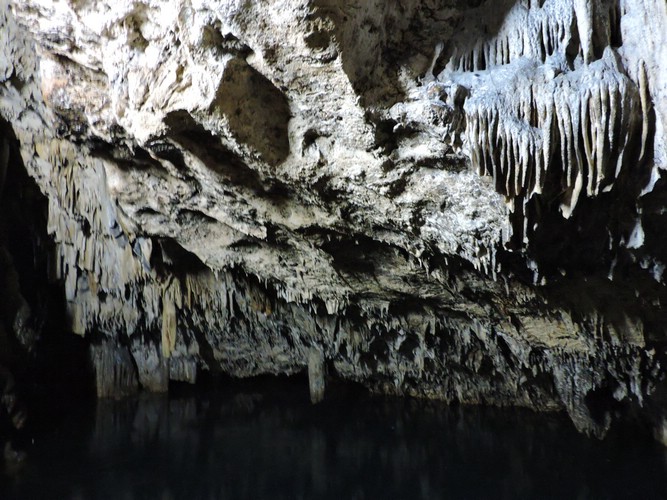 DSCN3350.JPG
