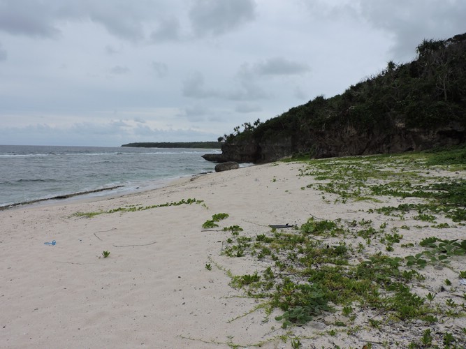DSCN3356.JPG
