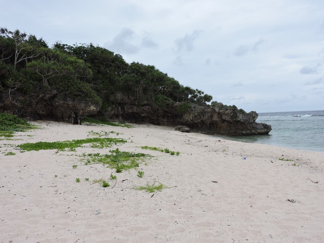 DSCN3357.JPG