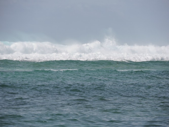 DSCN3379.JPG