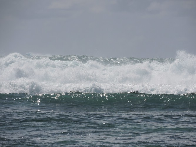 DSCN3380.JPG