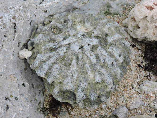 DSCN3430.JPG