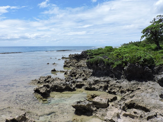 DSCN3468.JPG