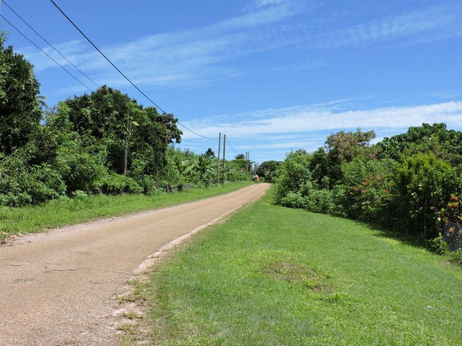 DSCN3472.JPG