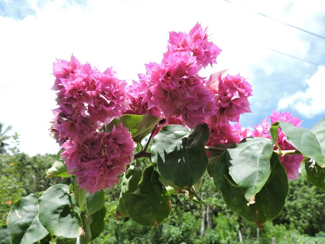 DSCN3473.JPG