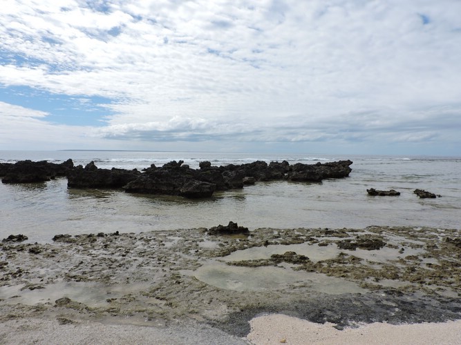 DSCN3478.JPG